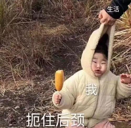 沙雕吃瓜爆料视频下载,一场网络爆料的狂欢盛宴  第3张